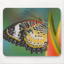 Suche nach tropischer schmetterling mousepads Pflanze