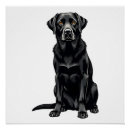 Suche nach schwarzes labrador retriever poster Welpe
