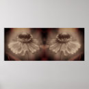 Suche nach zinnia poster Durchtränkt