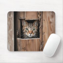 Recherche de trou tapis souris Chat