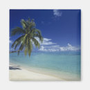 Recherche de bora bora magnete Arbre