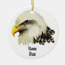 Recherche de aigle américain Nom