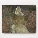 Suche nach wolf mousepads Hund
