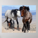 Suche nach country western poster Cowboy