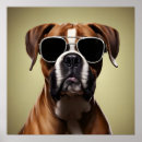 Suche nach boxer hunde poster Portrait