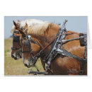 Recherche de cheval de trait belge cartes postales Ferme