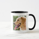 Suche nach profile tassen Hund