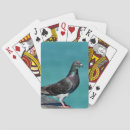Recherche de pigeons Photographie