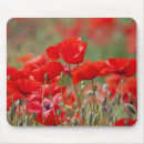 Recherche de coquelicot tapis souris Pavot