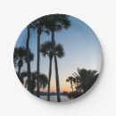 Suche nach florida teller Palmen