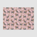 Recherche de de terrier de yorkshire Animal de compagnie