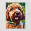 Recherche de marron cartes postales Chien