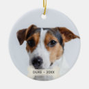 Suche nach jack russell ornamente Niedlich
