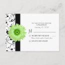 Recherche de marguerite africaine invitations Floral