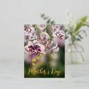Recherche de vrai cartes postales Pour elle