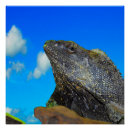 Suche nach lizard poster Exotisch