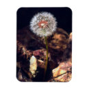 Recherche de fleur de pissenlit magnets Bleu