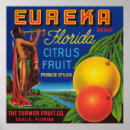 Recherche de caisse orange posters Agrumes