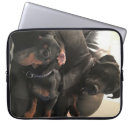 Recherche de coutume coques Image