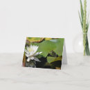 Recherche de grenouille photographie Fleur