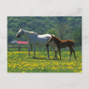 Suche nach pferdefamilie postkarten Landwirtschaft