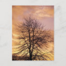 Recherche de ciel orange cartes postales Nature