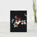 Suche nach frangipani karten Weiß