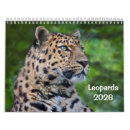 Suche nach leopard kalender Groß