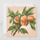 Suche nach vintage illustration karten Pfirsichzweig
