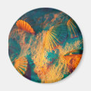 Suche nach muscheln magnete Strand