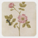 Suche nach raupen aufkleber Blumen