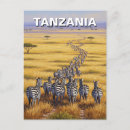 Suche nach lustige zebras poster Safari