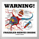 Recherche de neurones posters Nerfs