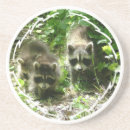 Suche nach waschbär untersetzer Tier