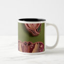 Recherche de email tasses Bijoux