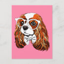 Suche nach cavalier king postkarten King charles spaniel