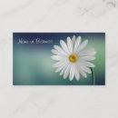 Recherche de daisy cartes visite Floral
