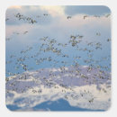 Recherche de oiseaux migrateurs autocollants Oie