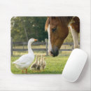 Recherche de humour cheval électronique Mignon