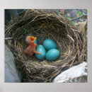 Suche nach ankunft poster Baby