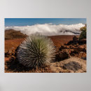 Suche nach maui poster Landschaft