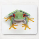 Suche nach frosch spaß mousepads Tier
