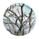 Suche nach kälte schneidebrettchen Baum