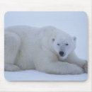Suche nach kanada tag mousepads Horizontal