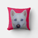 Suche nach siberian husky kissen Sibirisch