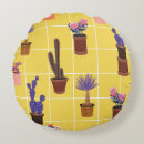 Recherche de cactus mignons coussins Botanique