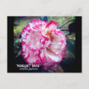 Recherche de camélias cartes postales Pour tous