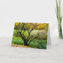 Suche nach walden teich karten Baum