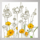 Recherche de coquelicots posters Toute personne
