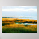 Suche nach maryland strand Ozean